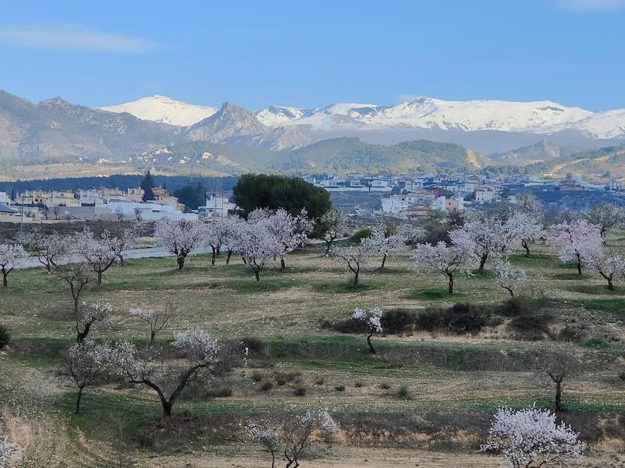 Villa Terracota, Lujo En Granada Y Sierra Nevada ภายนอก รูปภาพ